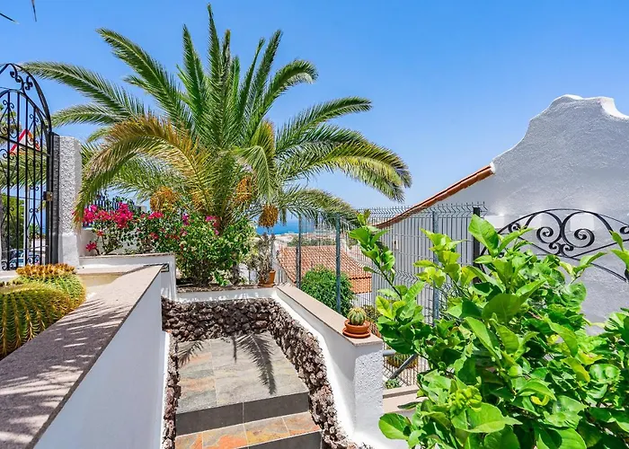 Buenavista Panoramic In