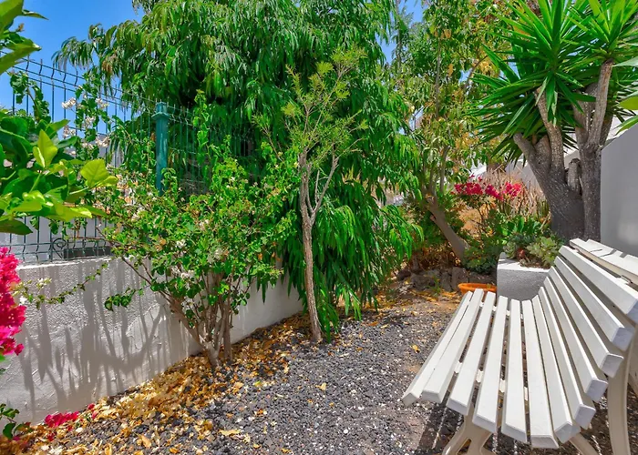 Buenavista Panoramic In 아데제